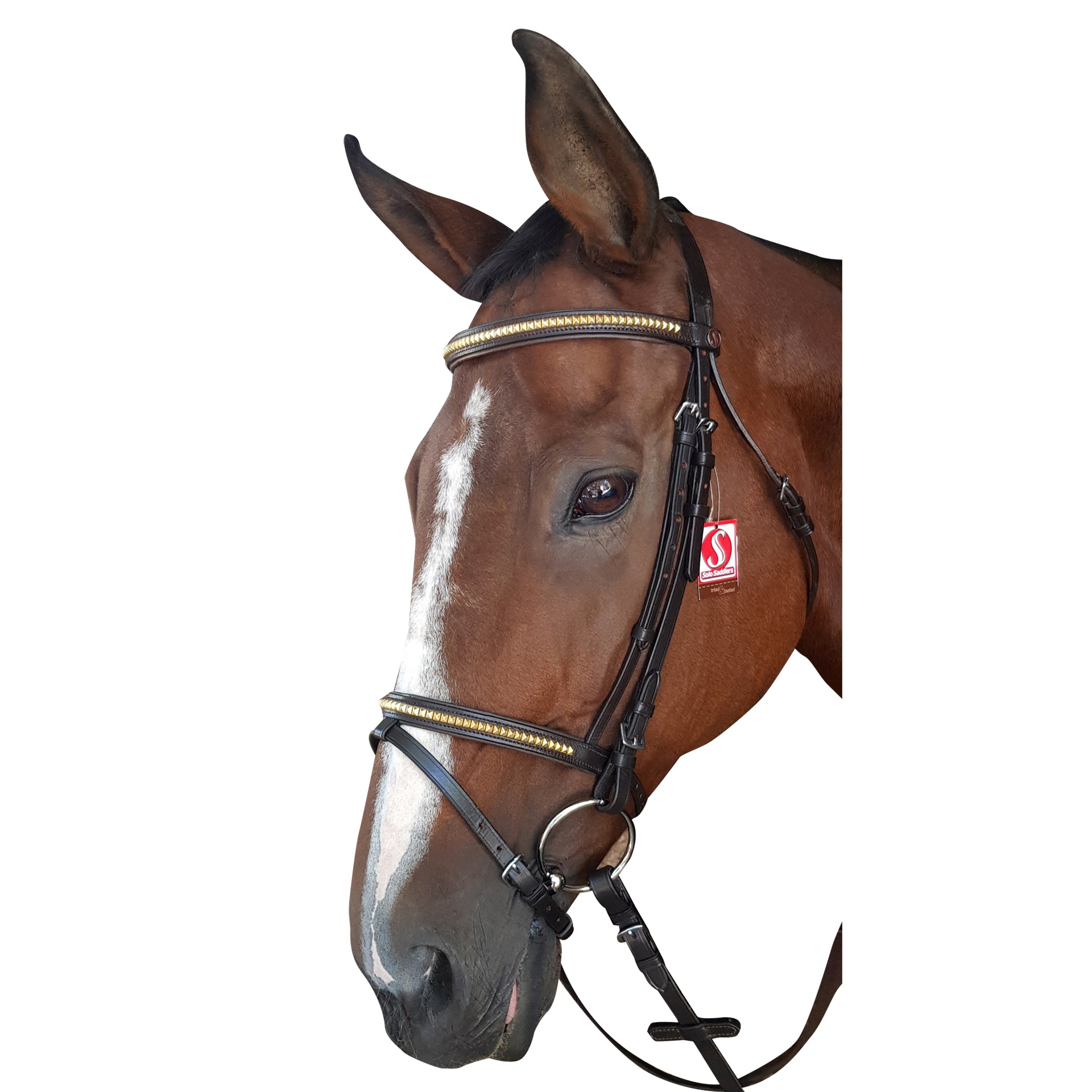 Bridle Clincher Solo Brass